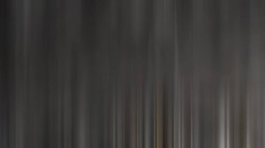 Bulanık arkaplan, daire şeklinde bir ağaç şeklinde..