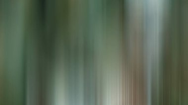 Bulanık eğimli arkaplan. Renkli yumuşak pankart şablonu