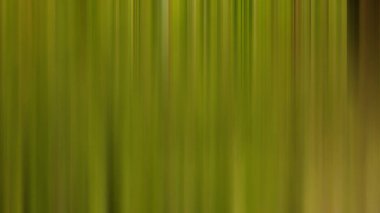 dikey çizgiler, çizgiler ve çizgiler, düz çizgiler soyut arkaplan,