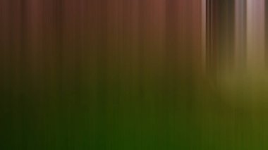 Bulanık ışık arkaplanı renkli