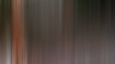 color flix intro animation style illustration