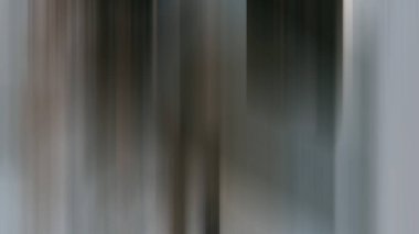 Bulanık ışık arkaplanı renkli