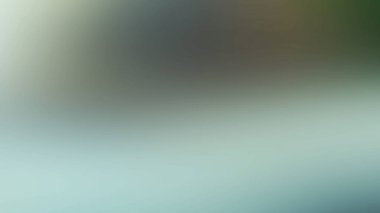 Tasarımınız için odaklanmış soyut doku arkaplanı