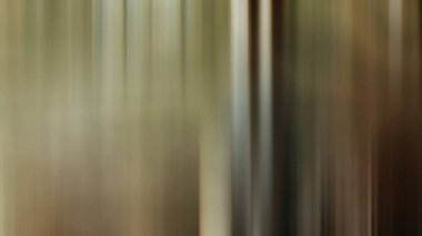 Açık kahverengi ve beyaz tonların bulanık soyut arkaplanı.