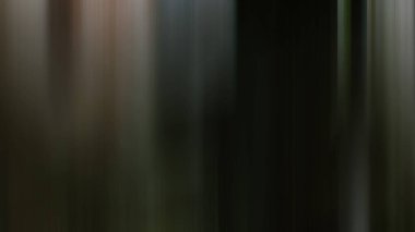 Işık efektleri. Neon parıltısı. Festival dekorasyonu