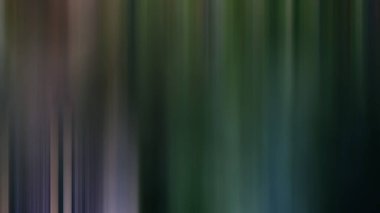 color flix intro animation style illustration