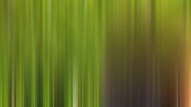 Soyut renkli bulanık arkaplan, hareket kavramı