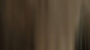 light effects. neon glow. festive decoration. colorful abstract background