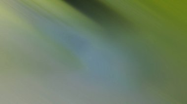 Bulanık ışık izleri renkli arkaplan