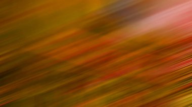 Sonbahar ormanı geçmişi. Sonbahar konsepti. sonbahar yaprakları arka plan