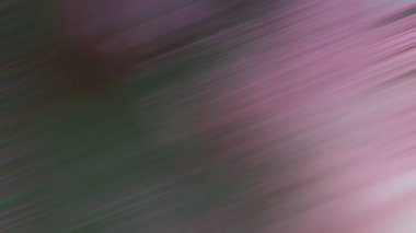 Açık pembe, mavi ve yeşil çizgileri olan vektör düzeni.