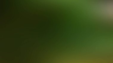 Soyut degrade hareket ışık arka plan bulanık. Renkli çizgi