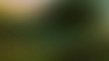 Soyut degrade hareket ışık arka plan bulanık. Renkli çizgi