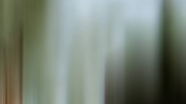 Soyut bulanık arkaplan. gradyan ağ