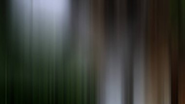 Soyut pastel yumuşak renkli bulanık dokulu arkaplan yeşil tonlu odak tonundan uzak