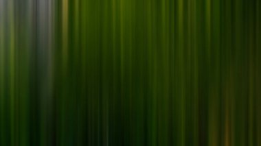 hareket bulanık arkaplan