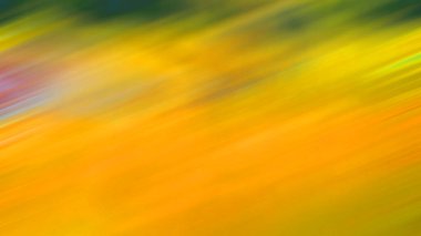 Sonbahar yeşillik arkaplanı rengarenk bulanık