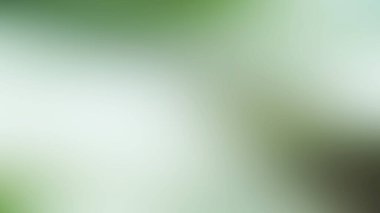 yeşil degrade arka plan bulanık
