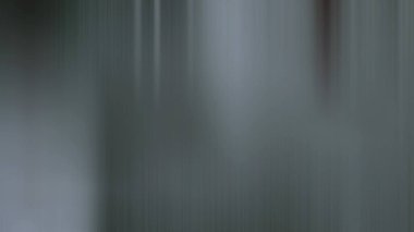 Aydınlatma gradyan hareketi arkaplanı bulanıklaştırdı. Renkli çizgiler desen duvar kağıdı