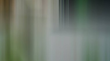 Işık efektleri. Neon parıltısı. çok renkli soyut arkaplan. Arkaplan... poster, broşür, broşür ve kart için yaratıcı grafik tasarımı. eşsiz