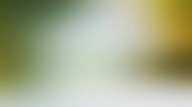 Açık gri gradyan arka plan. soyut arkaplan.