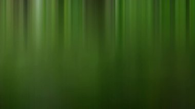 Ağaçlı bir ormanın bulanık görüntüsü