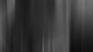 Bir ormanın siyah beyaz fotoğrafı.