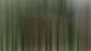 Ağaçlı bir ormanın bulanık bir resmi.