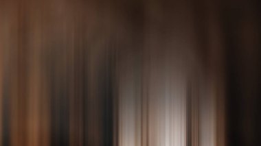 Kaykay süren birinin bulanık görüntüsü.