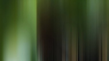 Kırmızı yangın musluğu olan bulanık bir orman resmi.