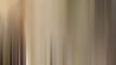 Kırmızı yangın musluğu olan bulanık bir orman resmi.