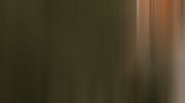 Parktaki yangın musluğunun bulanık bir resmi.