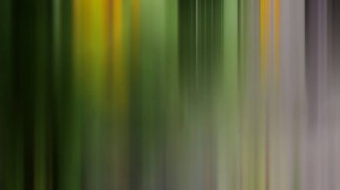 Ağaçlı bir ormanın bulanık bir resmi.