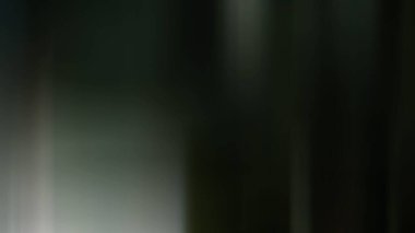 Tuvaleti olan bir banyonun bulanık fotoğrafı.