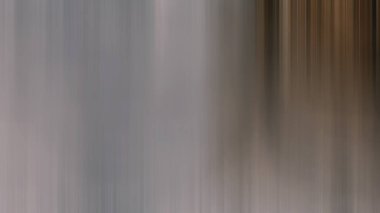 Snowboard 'daki bir insanın bulanık fotoğrafı.