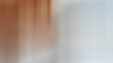 Tuvaleti ve duşu olan bir banyonun bulanık görüntüsü.