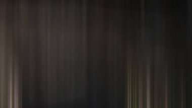 Siyah beyaz bir kedinin bulanık görüntüsü