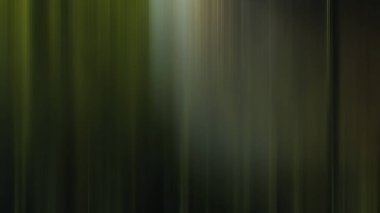 Ağaçlı bir ormanın bulanık görüntüsü