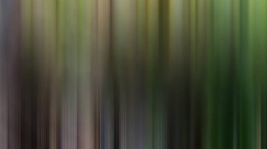 Ağaçlı bir ormanın bulanık bir resmi.