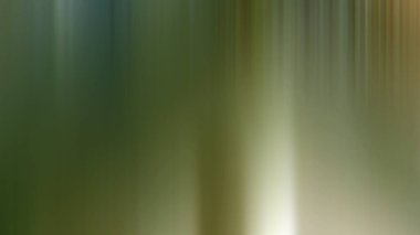 Tuvaleti olan bir banyonun bulanık fotoğrafı.