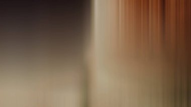 Tuvaleti olan bir banyonun bulanık görüntüsü.