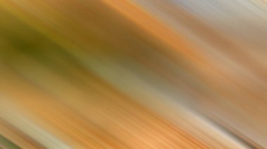 Havada uçan bir kuşun bulanık fotoğrafı.