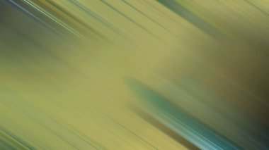 Kaykaylı birinin bulanık bir fotoğrafı.