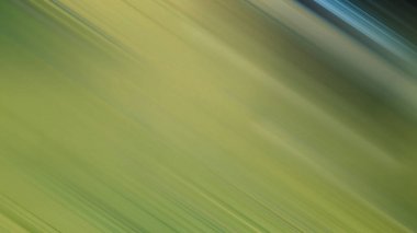 Kırmızı dur işaretli yeşil bir alanın bulanık fotoğrafı.