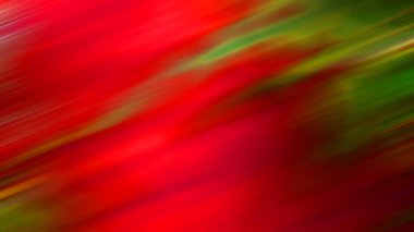 Bulanık arkaplanı olan kırmızı bir çiçek