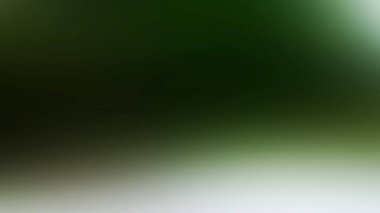 Tek çiçekli bulanık yeşil bir arkaplan