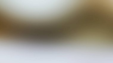 Bir ağacın dalında oturan küçük bir kuş.