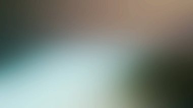 Tek bir kırmızı çiçekli bulanık bir arkaplan