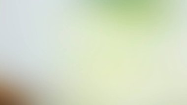 Bulanık arkaplanı olan bir dalda oturan bir kuş.