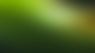 Tek çiçekli bulanık yeşil ve sarı bir arkaplan.